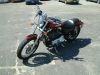 hog_1200l_1_3.jpg